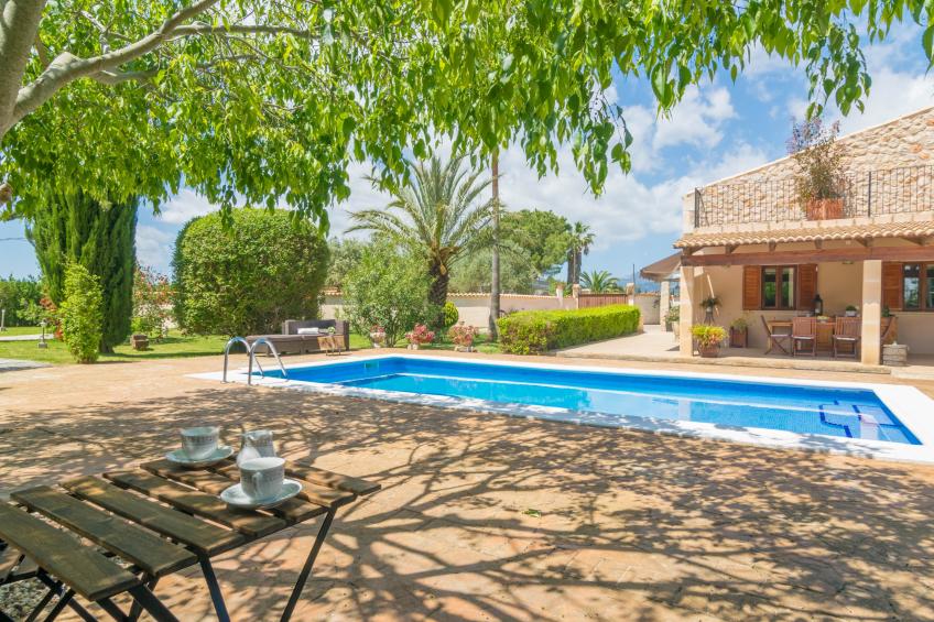 FINCA MIRALLES - foto 8
