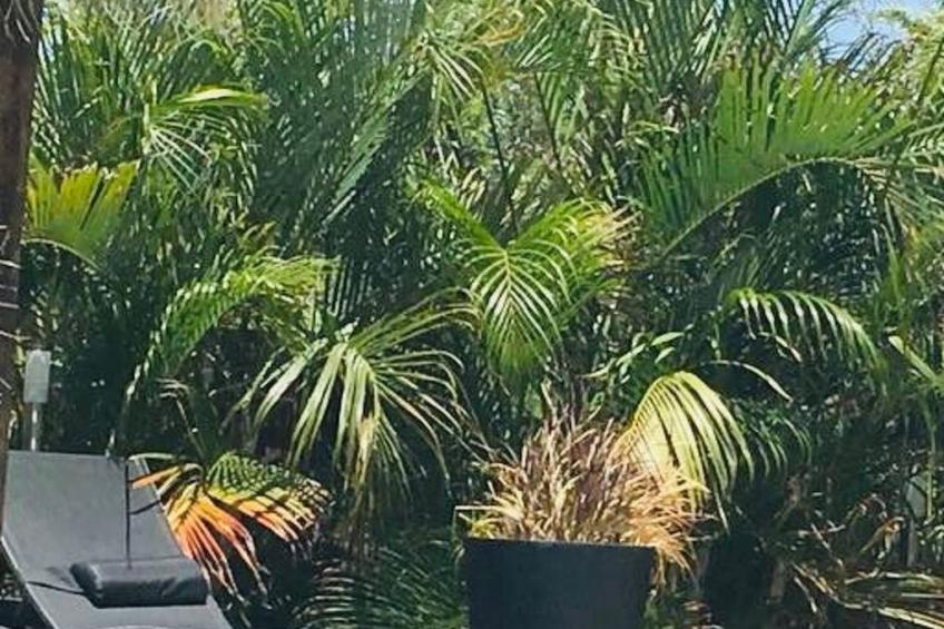 Wohnung in Cas Grandi mit Schönem gemeinsamem Pool - foto 3