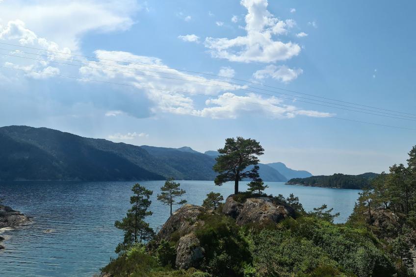 mit Blick auf das Wasser - foto 17