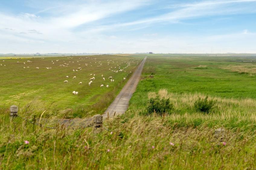 "Annagrete" - 12km from the sea in Western Jutland - foto 8