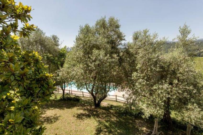 Lindenhaussiedlung mit Gemeinschaftspool - foto 46