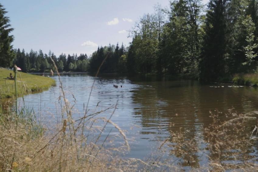 für 4 Personen im Bayerischen Wald - foto 25