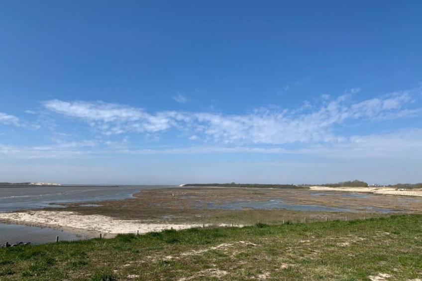 NORDVRIE - 3B - foto 30