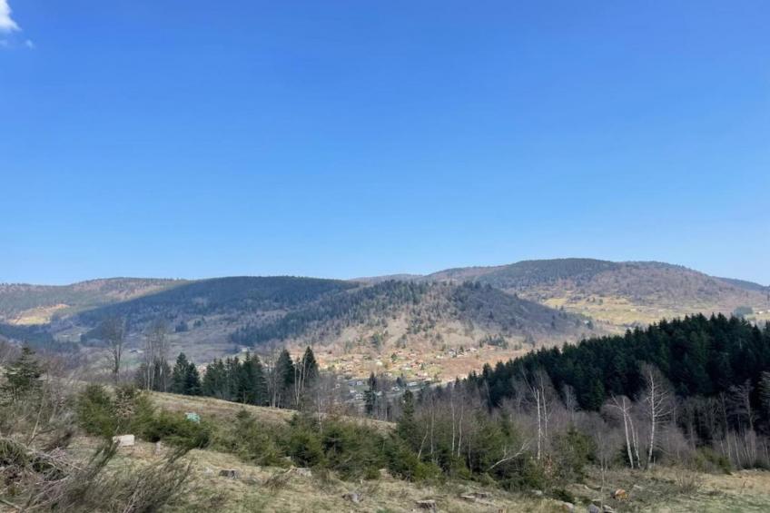 Les Raitières - foto 37