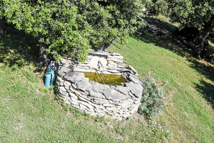 La Chênaie - foto 45