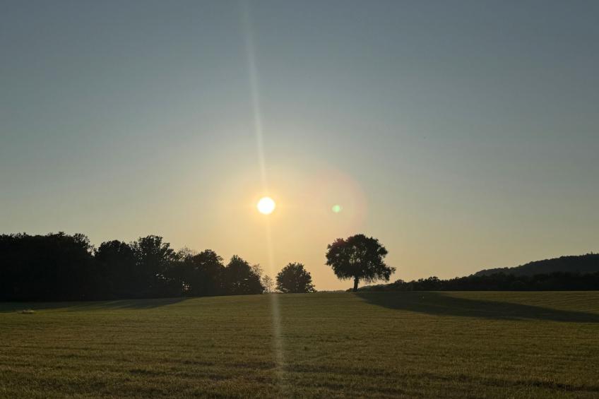 Panorama 180° - foto 23