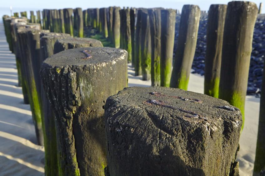 't Schuurtje - foto 27