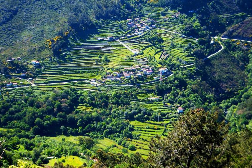 "Großvaters Häuschen" mit Kamin - foto 13