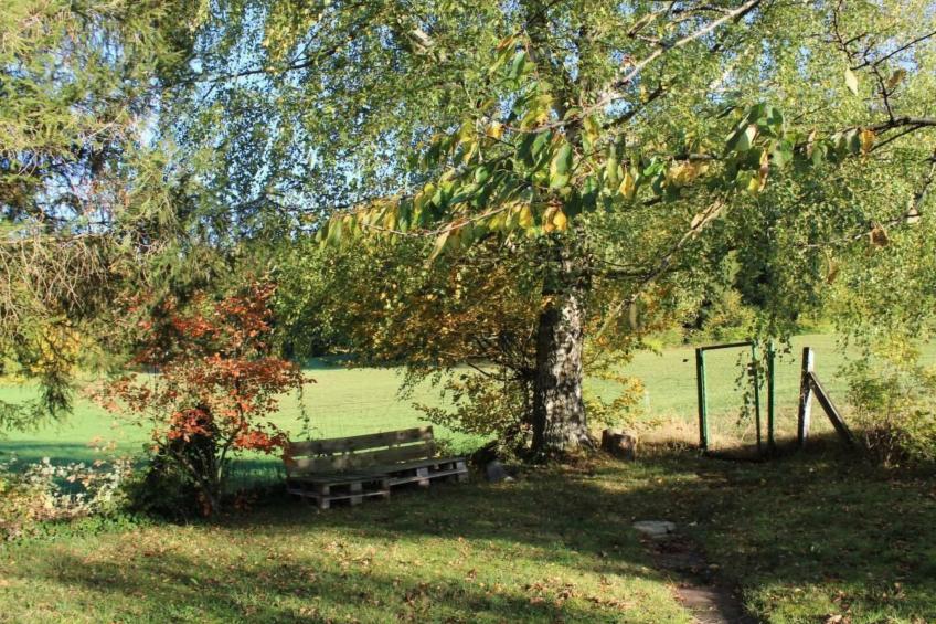 Chalet - Le Champ des Perches, (Berlincourt) - foto 15