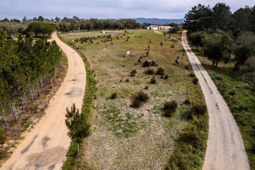 Casinha Da Paz - foto 42