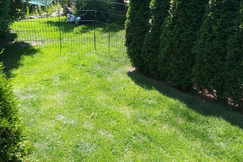 Fewo Brodaer Holz - foto 10