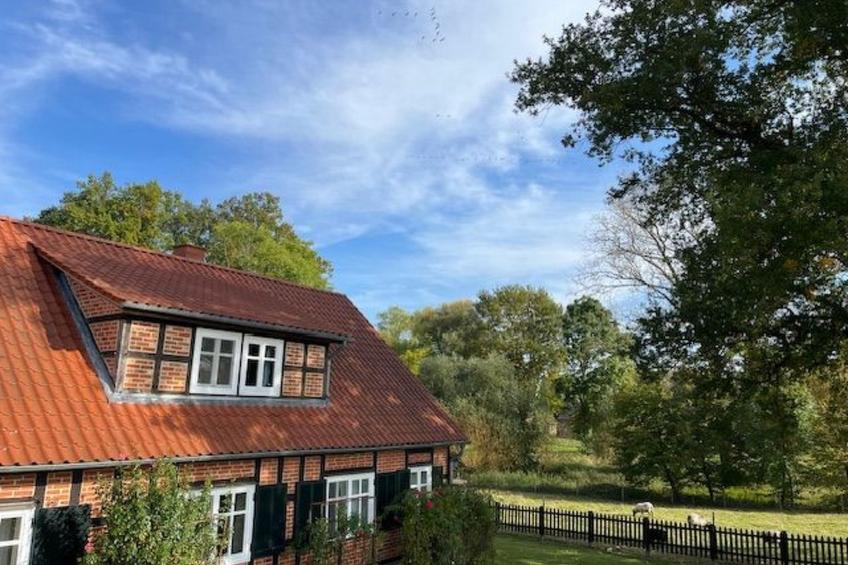 Haus Elbrose inmitten von Rosen mit Elbdeichzugang - foto 5