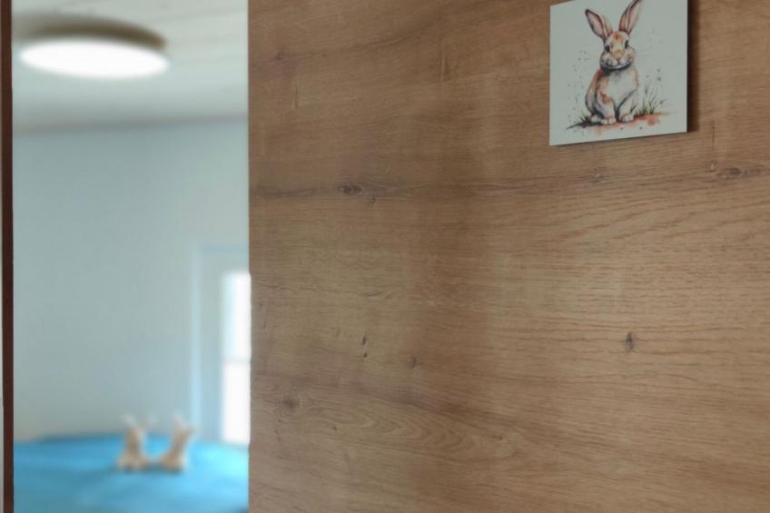 Schlosshöchi - foto 24