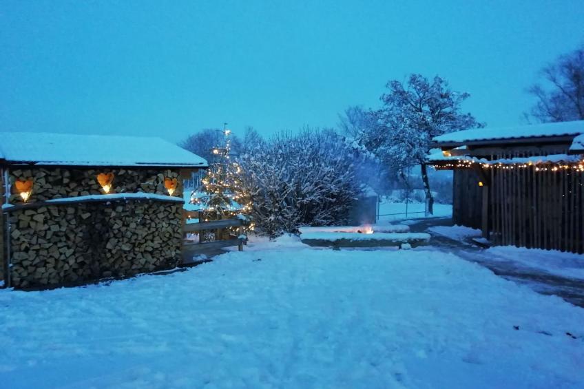 Plattenstein - foto 32