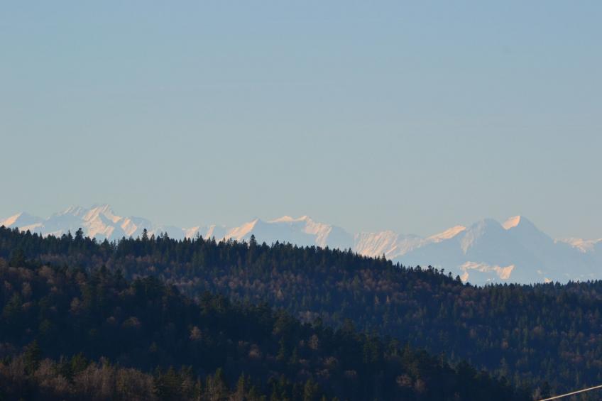 Fichtenstueble - foto 15