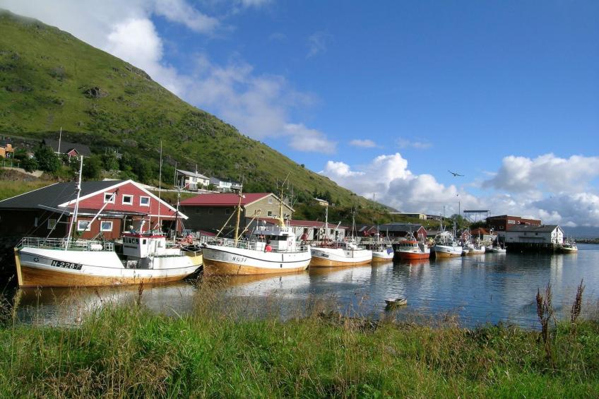 39224 - SKARSJØ BRYGGE - foto 10