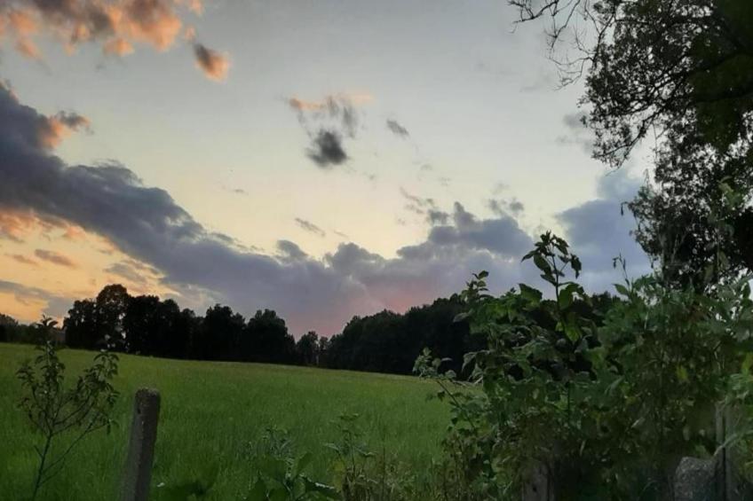 Im Erzgebirge - foto 17