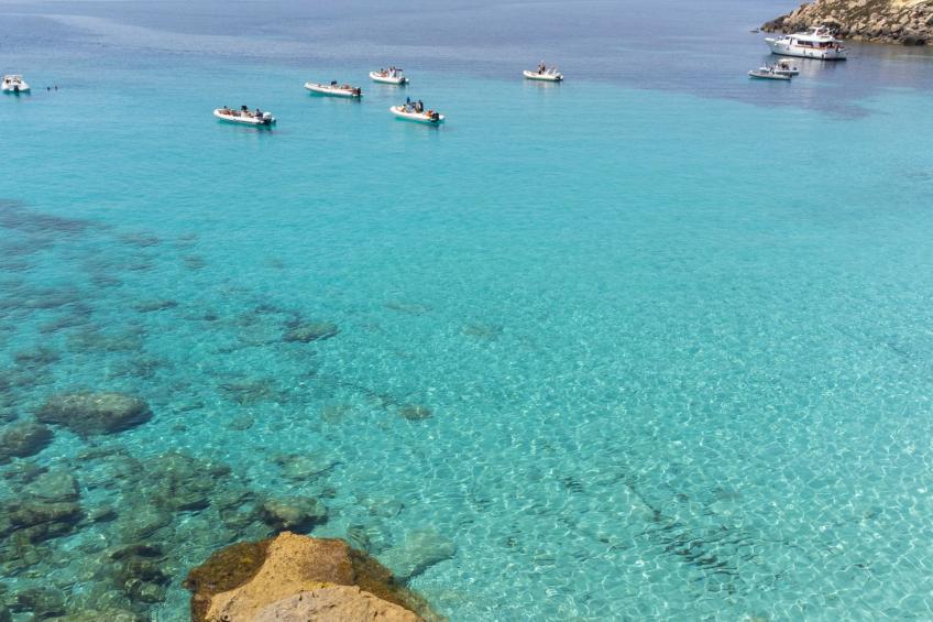 la casetta di leo - foto 46