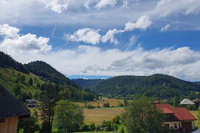 Gästehaus a Feldberg - foto 37