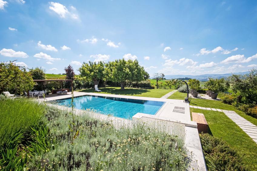 Mulberry Garden - foto 122