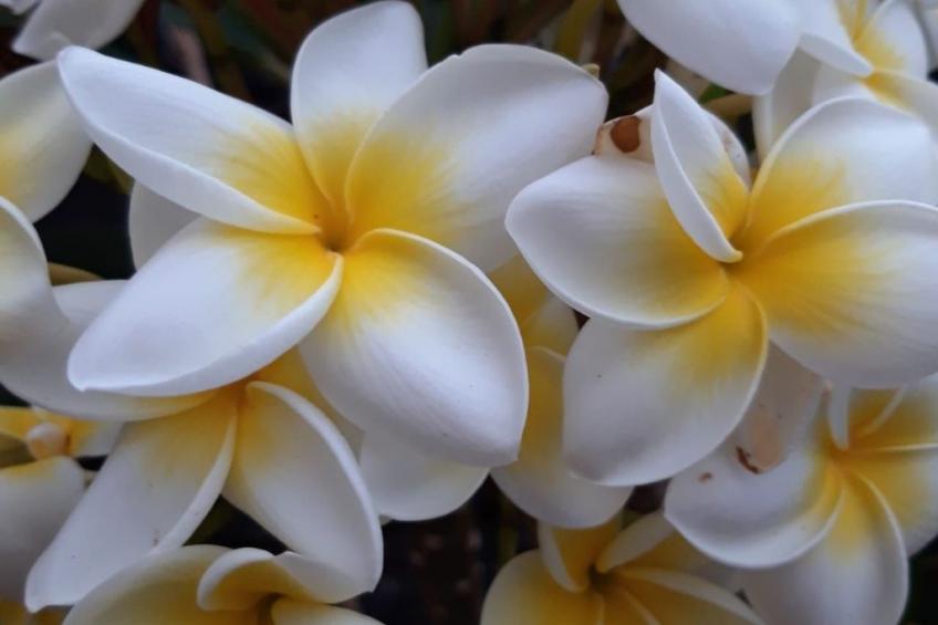 Komfortable geräumige Wohnung mit bester Aussicht 5p max - foto 5