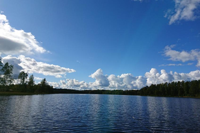 Saxarsviken - foto 30