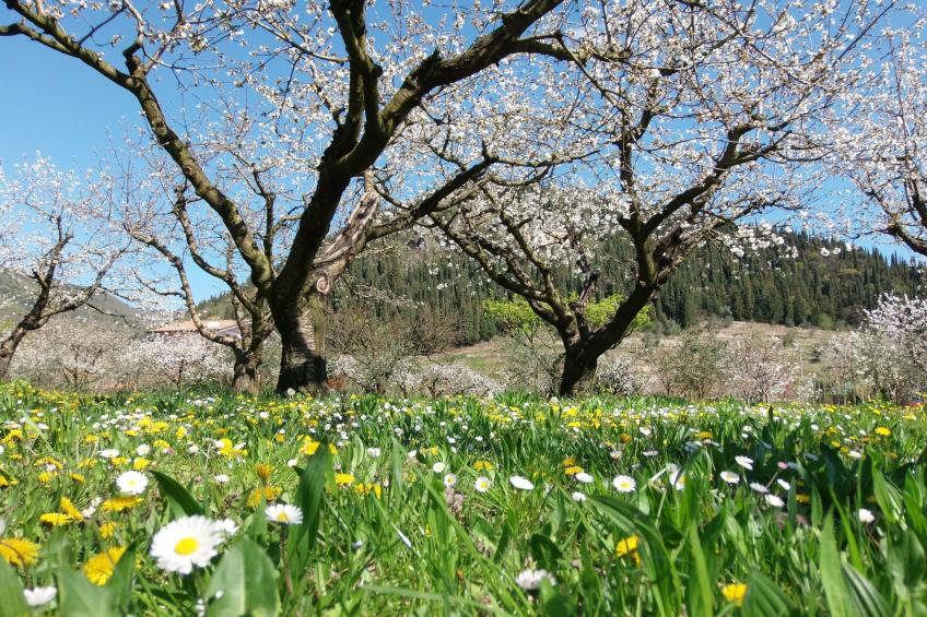 Anwesen mit privatem Garten und Grill - foto 25