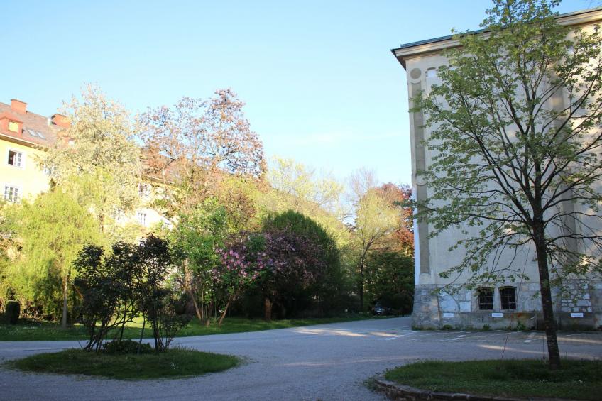 Gemütliche Wohnung in Geidorf mit Garten, Grazer Dom-Nähe - foto 2