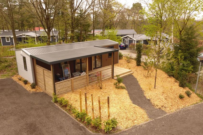 De Thijmse Berg - foto 6