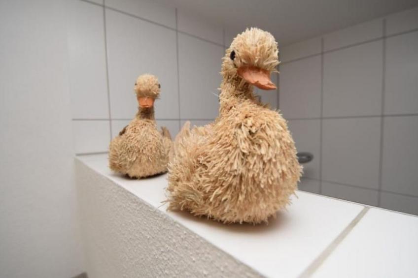 Appartement in Beuren mit Terrasse und Grill - foto 21