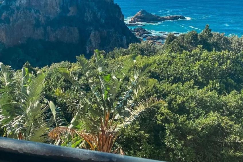Villa Seaview - The Heads in Knysna (Garden Route) - foto 13