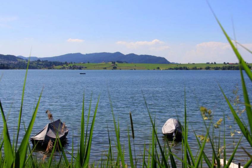 Ferienhof am See – Willerzell, (Willerzell), - foto 7