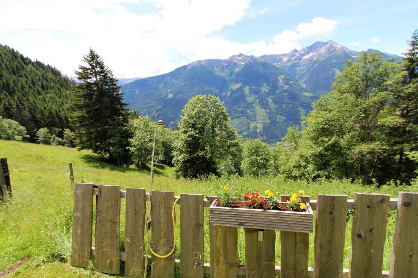 Unterhofer Alm - foto 9