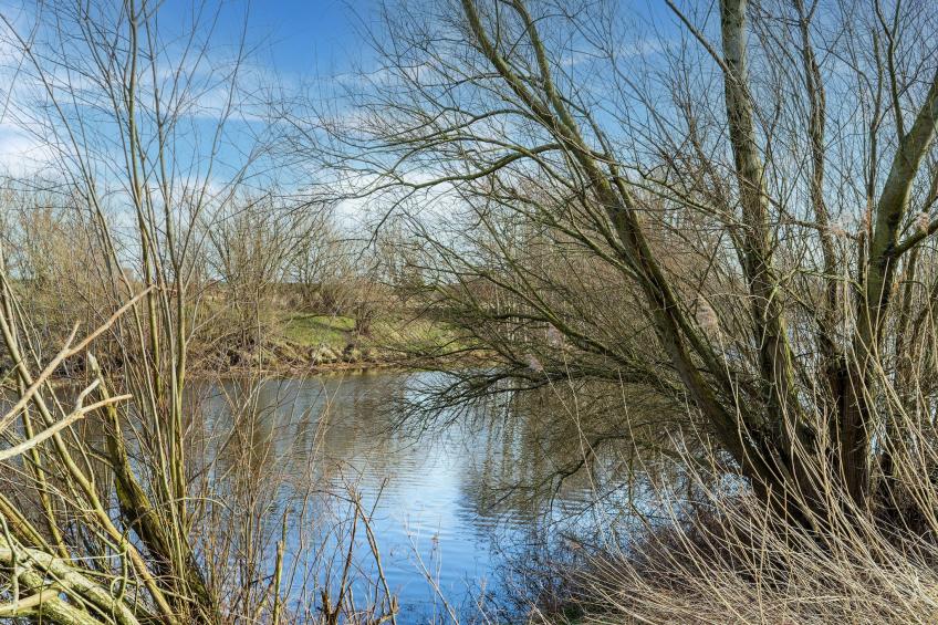 Aurora 584 - foto 37