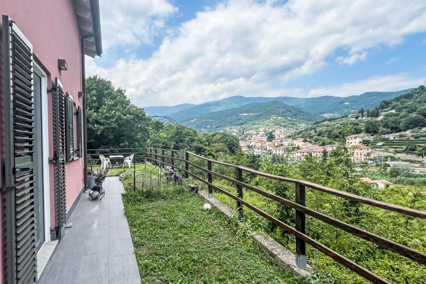 Le radici dell´ulivo - foto 8