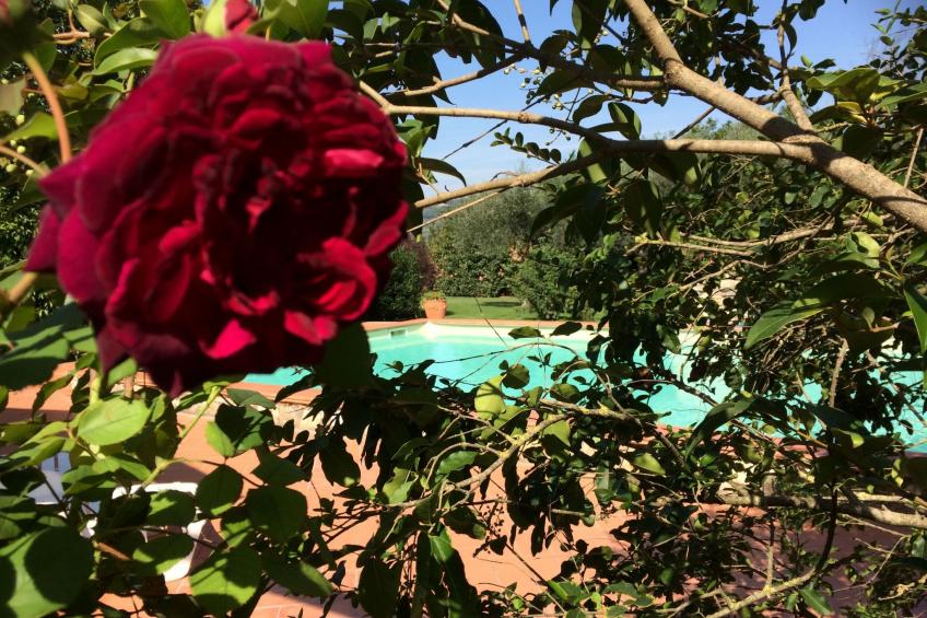 Villa mit privatem Pool 70 Kilometer von Rom entfernt - foto 44