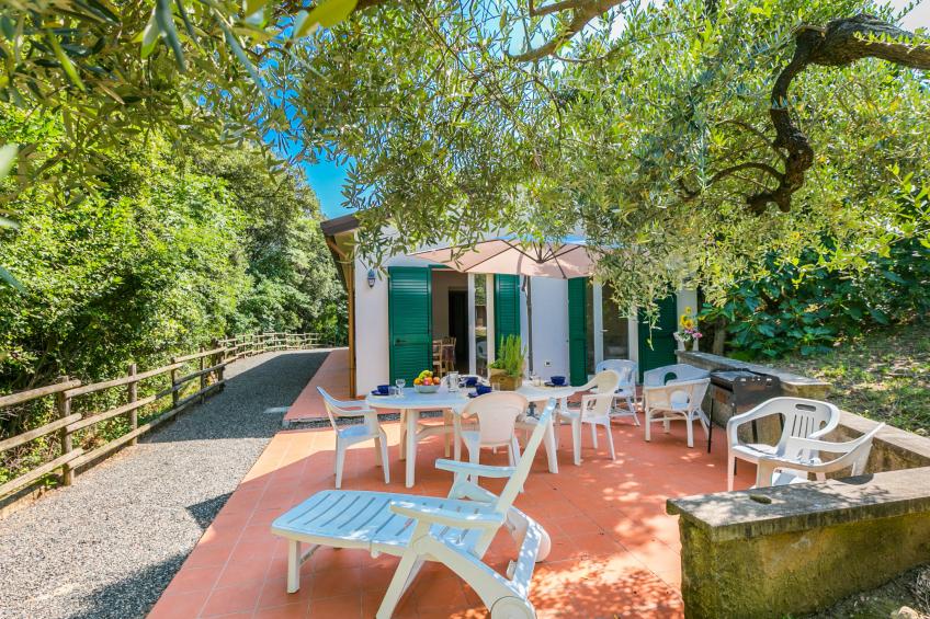 Podere gli Olivi