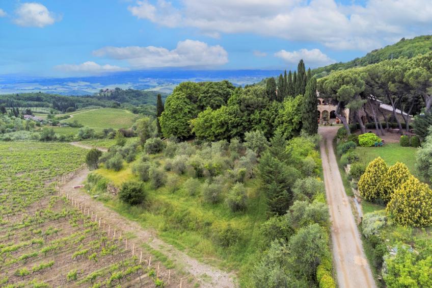 Podere Cellole (CTC150) - foto 34