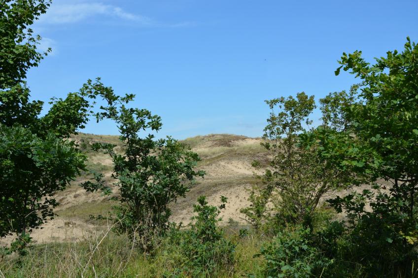 Casa Duna - foto 14