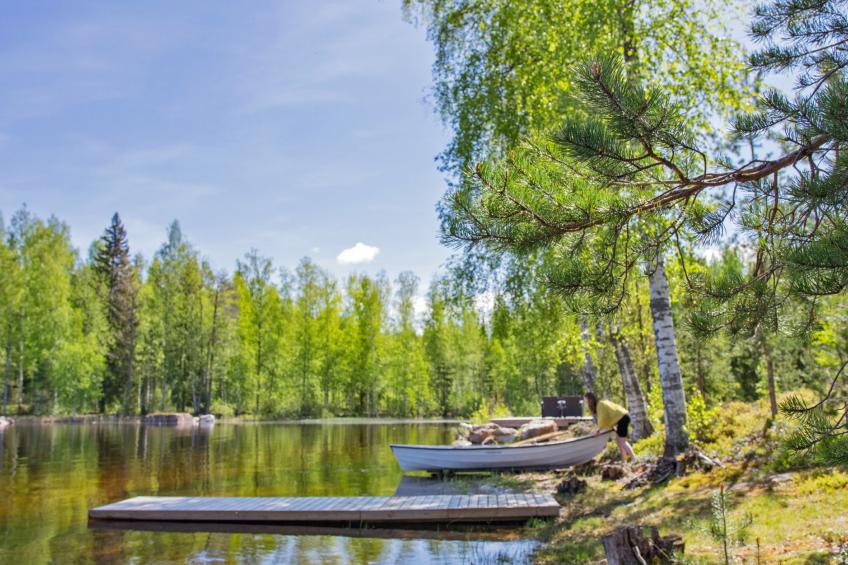 Norppa, loma-aution lomamökit - foto 19
