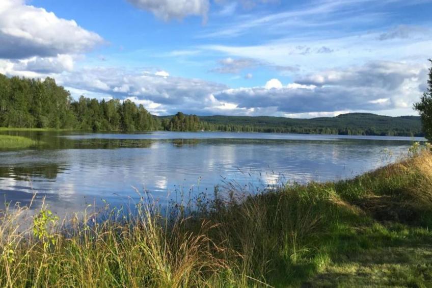 Abbas Stugby 14 - foto 21