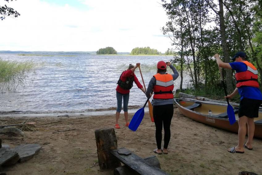 Rääkkylä, villa raita - foto 16