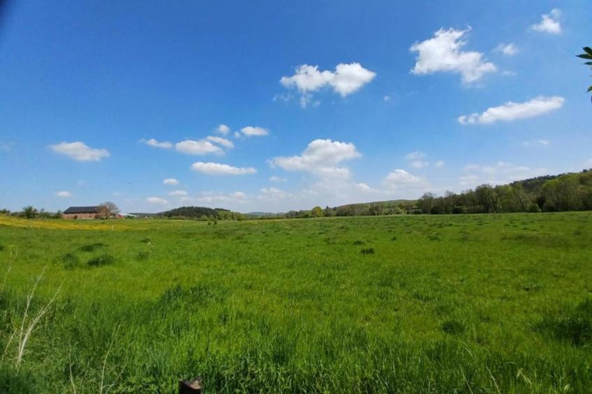 Li Vêrt Veschau - foto 31