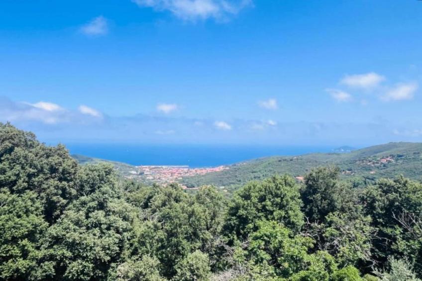 Les Greens du Bassin - foto 33