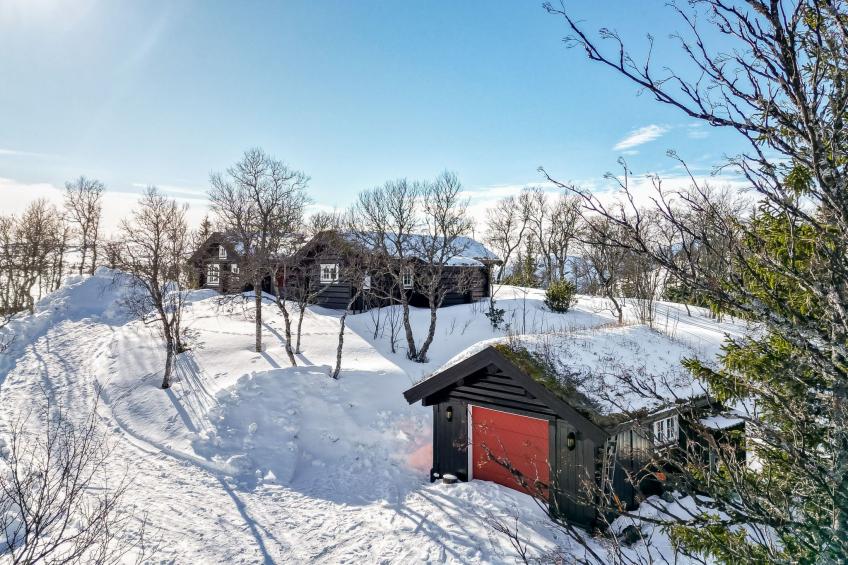 Fjälldrömmen - foto 24