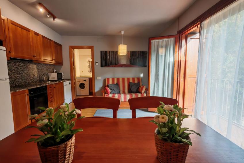 Wohnung Erta 1 8km vom Skigebiet Vall de Boí - foto 7