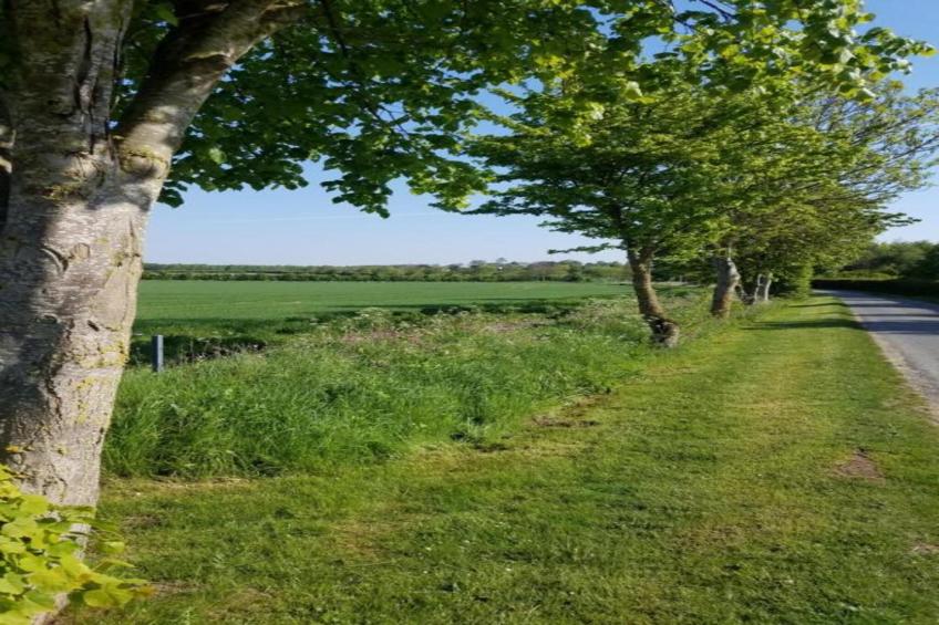 Wisteria at the Rookery - foto 23
