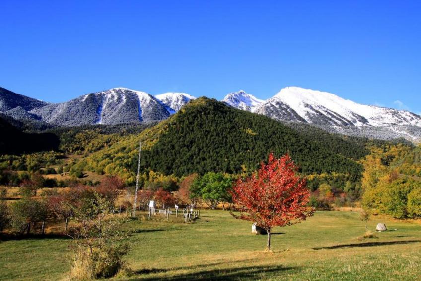 Cobert d'en Piarró - foto 30