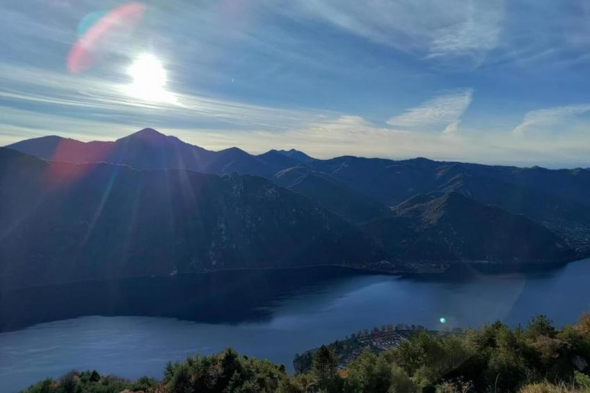 Alex Home 2 - foto 31