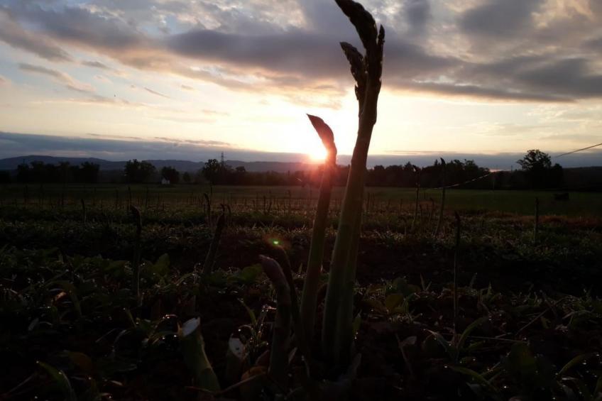 Sidlers Neuhof - foto 25